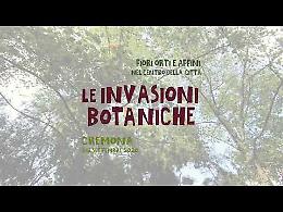 VIDEO Le Invasioni Botaniche 2020: lo spettacolo di fiori e colori in un minuto