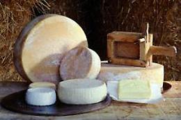 "Franciacorta in bianco", prodotti lattiero-caseari in mostra