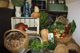Agriturismoinfiera, a Milano la fattoria ritorna in città il 24 e 25 gennaio