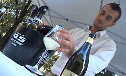 La Festa Vino in piazza Giovanni XXIII a Cremona 