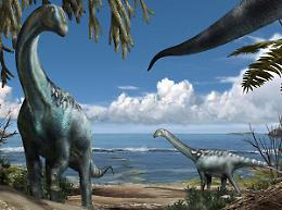 E' stato scoperto "Tito", il primo dinosauro sauropode italiano