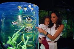 Domenica 12 festa della mamma a Gardaland SEA LIFE Aquarium
