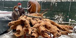 Maxi scultura per ridare vita alle piante