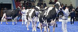 Zootecnia internazionale: «Cremona sarà strategica»