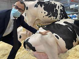Patuanelli: «C'è voglia di mantenere vive le attività. Basta fake news sulla zootecnia»