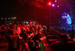 Cremona Brucia! Il 30 e 31 maggio la città è punk