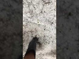 VIDEO La grandinata a Mirabello Ciria, frazione di Casalmorano