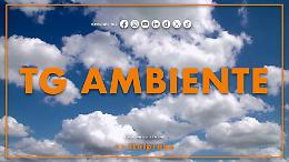 Tg Ambiente - 11/1/2026