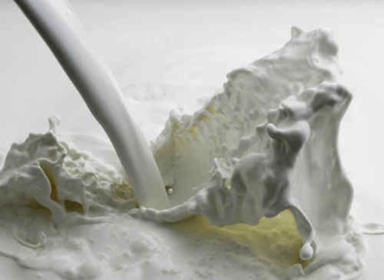 Latte, Confagricoltura: aumento prezzo alla stalla di Granarolo sia d'esempio