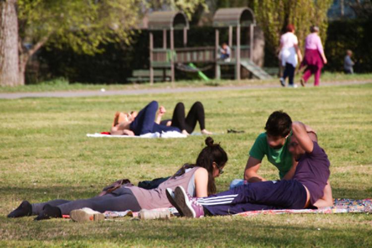 Quei vip che al parco al Po lasciano liberi i loro cani