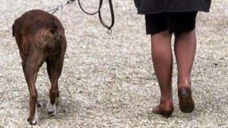 A chi va al parco al Po un sacchetto per i bisognini