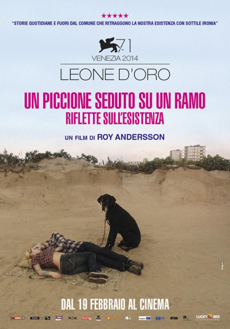 Un piccione seduto su un ramo riflette sull'esistenza