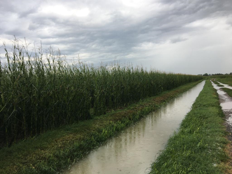 A Mirabello Ciria di Casalmorano si allunga la lista dei danni