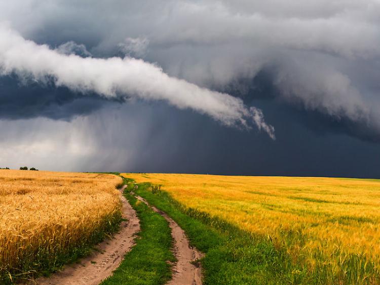 In trent'anni perso il 20% di Superficie agricola utilizzata