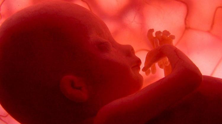 Donne in gravidanza, Regione Lombardia approva test fetali non invasivi 