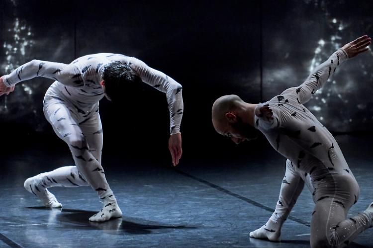 Lo spettacolo di danza "Le Supplici"
