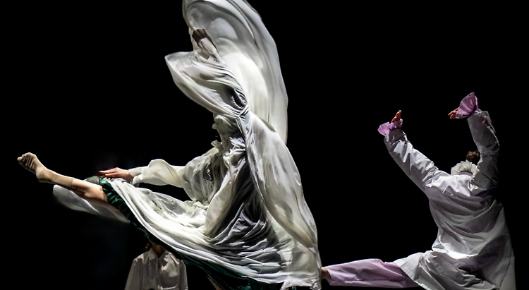 L'esibizione di danza: Lili Elbe Show