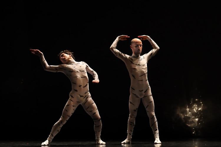 Lo spettacolo di danza  "Le supplici"