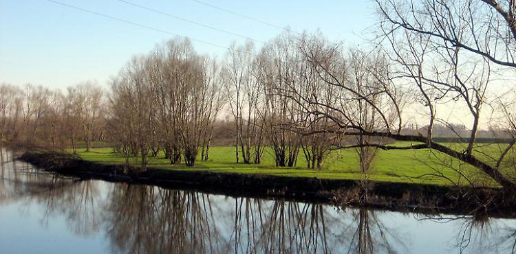 "Il Parco Oglio Sud di Ostiano" di Sara Lucini e Seminare il Futuro