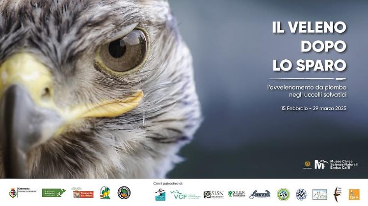 Giornata di approfondimento alla mostra "Il veleno dopo lo sparo"
