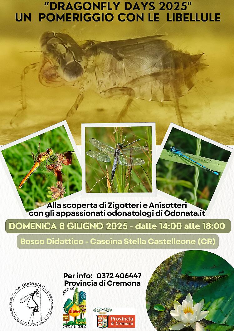 Bosco Didattico e Dragonfly Day