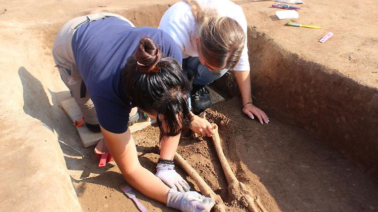 Bedriacum, un piano per gli scavi