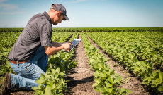 Vitari: &laquo;Non toccate le risorse destinate ad agricoltura e Comuni&raquo;