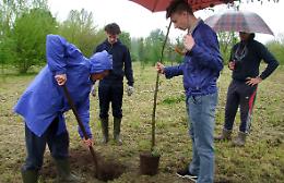Piantato un albero per ogni nato,
cresce il 'Parco della vita'