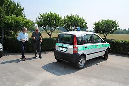 Carburante nel Delmona