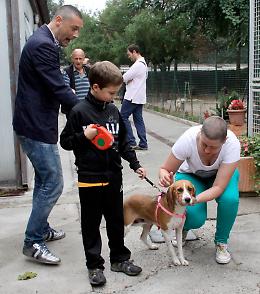 La cagnolina amica del puma ha trovato casa