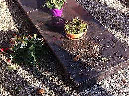 Scempio al cimitero di Vescovato