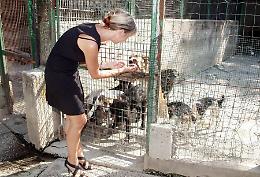 Canile pronto in ottobre