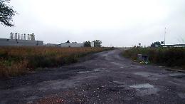 Nuovo canile, lavori al via