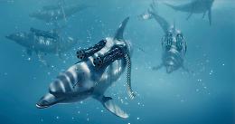 ''Wildlife Photographer of the Year'': mostra e incontri a Milano Fino al 26 ottobre
