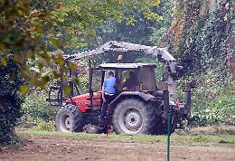 Asvicom 'adotta' il bosco della cascina Pierina