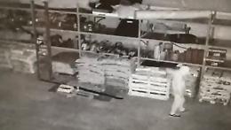 Furto alla Sanatec, i ladri ripresi dalle telecamere