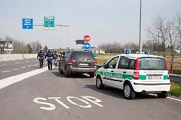 Cagnolino investito sulla via Mantova