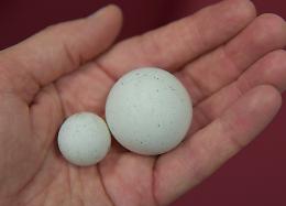 Biglie contro auto e negozio, pizzaiolo nel mirino dei vandali