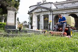 Sfalcio dell'erba, il Comune intensifica la manutenzione delle aree verdi
