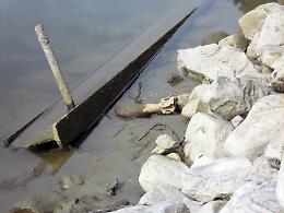 Ordigno bellico trovato nel Po