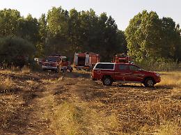 Fiamme al Parco Oglio Nord