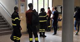 Nido di vespe nel cortile, pompieri mobilitati a scuola
