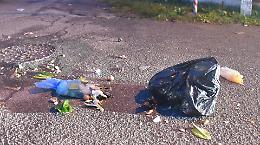 'Taglia su chi abbandona rifiuti'