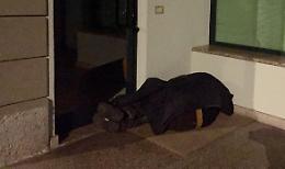 Senza tetto aiutato dal sindaco