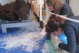 Corso d&rsquo;acqua al museo