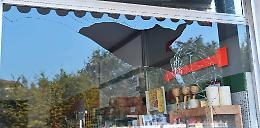 Vandali alla 'Cozzini Legnami', spaccate tre vetrine