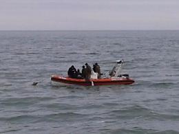 Si suicida in mare con il suo cagnolino