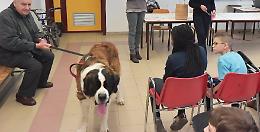 Tom il San Bernardo sale in cattedra