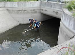 Canale all'asciutto, quintali di pesci salvati dalla Fipsas