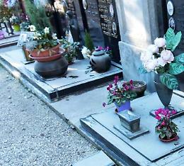 Rubati i fiori dalle tombe, cittadini insorgono sui social
